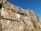 Recycled Carton in bales waiting to be processed