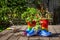 Recycled childrens boots and shoes on garden bench used as plant pots