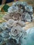 Recycled egg cartons turned into many Flower Art piece