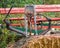 Recycled Rusty Drummer with Hay Drum