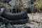 Recycling automobile tractor old damaged tire