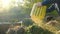 Recycling grass and green waste.Green compost.A man throws a mowed lawn out of a silicone basket into a trash can