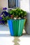 Recycling of materials. Wooden planter made with a bin with beautiful blue petunias. Petunia Ã— atkinsiana Surfinia.