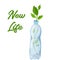 Recycling plastic waste. green Stem growing from the trash bottle . New life and save Earth concept. decomposing