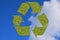 Recycling is the process of collecting and processing materials