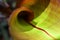 Red Abyssinian Banana Leaf Curl - abstract