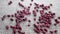 Red adzuki or azuki beans. Falling uncooked organic legume grains on a rough jute rustic cloth