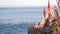 Red aloe cactus flower bloom, rocky beach, Monterey, California. Sea ocean waves