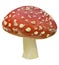 Red Amanita