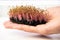 Red amaranth microgreen in male`s hand on white background. Amaranth shoots growing from soil on the palm close up