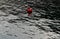 Red anchor mooring ball in the sea