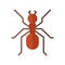 Red Ant Icon