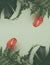 Red Anthurium flowers, fern and monstera leaves on green background. Summer mockup