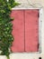 Red antique window with ivy on the wall