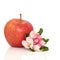 Red Apple and Flower Blossom