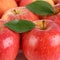 Red apple fruits with leaf