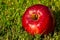 Red apple on grass