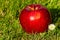 Red apple on grass