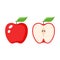Red apple and a half apple colorful vector illustration.