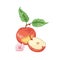 Red apple hand drawn vector illustration. Whole red and half cut fruit with flower and leaves isolated on white