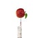 Red Apple,injection needle or syringe and chemical pesticides isolated on white background with clipping path.Concept pesticide.