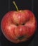 Red apple of irregular shape