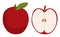 Red apple and its half, a slice. Fruit. Isolated element, object on a white background. Drawn by hands. Ripe healthy