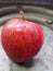 Red apple on the metal container and blurry background