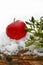 Red apple and mistletoe twigs on snow. Christmas decoration