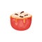 Red apple stuffed with cream cheese, honey caramel and nuts. Delicious fruit dessert. Food icon. Design element for