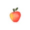 Red apple watercolor illustration on white background. Watercolour apple icon. Autumn seasonal fruit