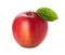 Red apple on white background