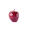 Red apple on white background. Modern vector illustration. - Vector