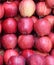 Red Apples background. Fresh apple fruits texture