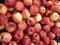 Red apples fruit in bulk at the farm supermarket