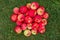 Red Apples on the Grass. Apples in the garden. Heap apples on green grass.