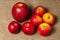 Red apples lie on a burlap covered table