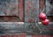 Red apples on old shabby wooden background