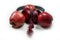 Red apples with red headphones on white-background Music is foo