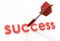 Red arrow and success text