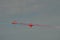 Red arrows crossing