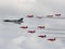 Red Arrows and Vulcan Bomber