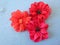 Red artificial fabric flowers