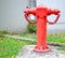 Red Asian Vintage above-ground pillar-type Fire Hydrant at a street corner with building background. Fire Extinguishing, Safety