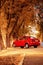 Red autumn car stands parked by the road in foliage under a bright yellow beautiful scenic tree in the forest in warm sunlight in