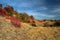 Red autumn leaves in the sun.