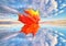 Red autumn maple leaves on kaleidoscope background of dramatic sky