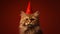 Red background, festive feline with birthday hat