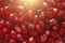 Red Background of Grain Red Grenades. Big Ripe Red Granets or Garnets. Fruits of Red Ripe Pomegranate on the White Background.