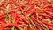 ,Red background,Red peppers being dried in the sun